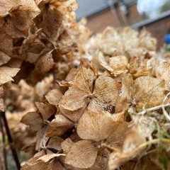 Wiggly Buslife  March Equinox