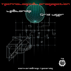 LeBlonde-Grid User Technological Prospection