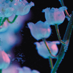 Air