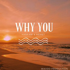Why You - Hara.691 & Memet