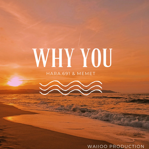 Why You - Hara.691 & Memet