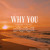 Artwork for Why You - Hara.691 & Memet