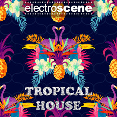 What Is Love (Tropical Mix 2k16 Ibiza Mix)