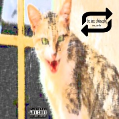 Stray (Prod. LOOPER NORRIS)
