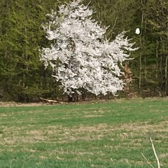 помнишь ты говорил что в моей комнате нет никаких монстров