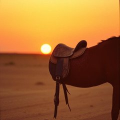 Shadows on the Prairie
