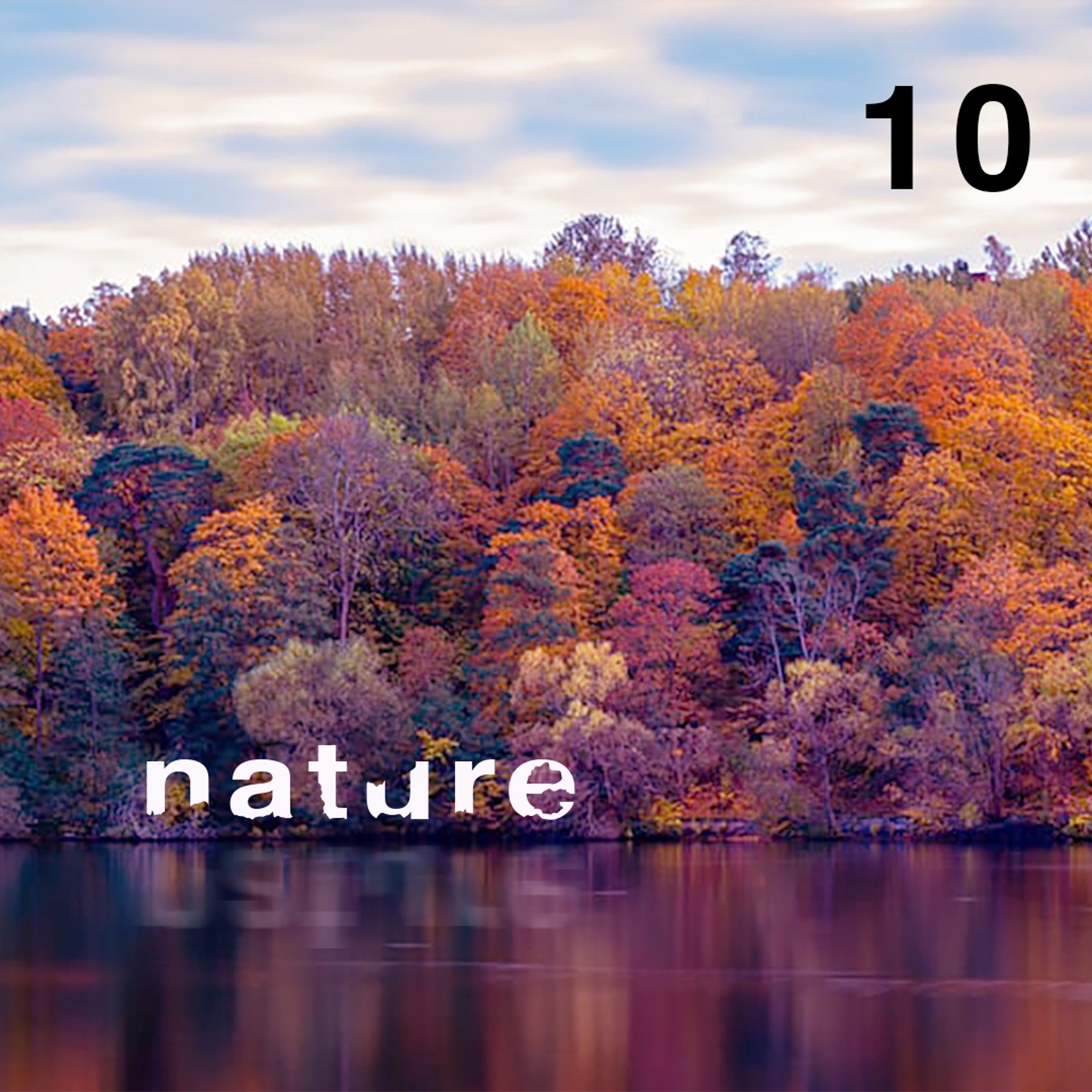 Stockholm: Nature