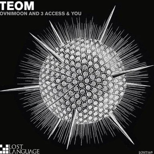 Ovnimoon  - 3 Access And You - TEOM ( Out soon on Lost Language rec )