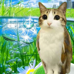 por quanto fizeram valer?