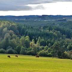 Naissance d'un projet d'accueil en montagne limousine - reportage de Marie Averty