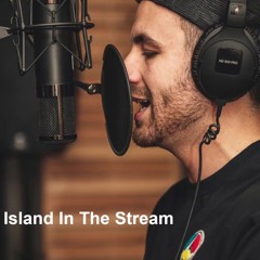Island In The Stream,    The Bee Gees    cover