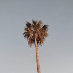 Carl Higson - The Journey