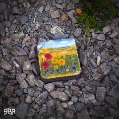 ЯВА — степові квіти