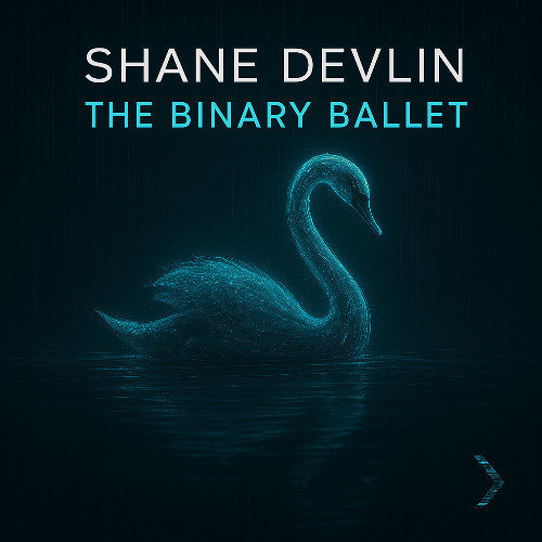 The Binary Ballet 🦢