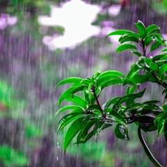 Let It Rain - Healing Rain by Michael W. Smith