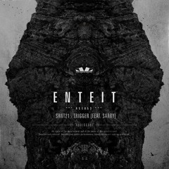 *** AGE053 · Enteit - srnt21