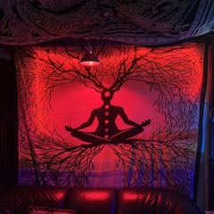 [Spiral] Dreamery - Burning Man Decompression Party - P1