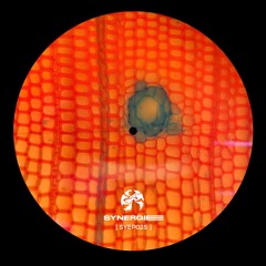 DS Premiere: DBFB - Beneath Beyond [SYEP025]