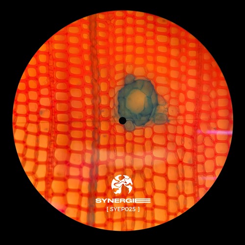 DS Premiere: DBFB - Beneath Beyond [SYEP025]