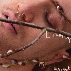 Universe