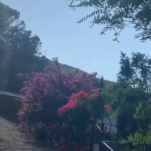 drast - niagara//guernica (snippet)