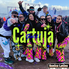 Cartuja Gold Drums And Bass