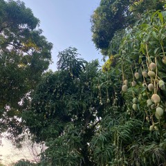 Are You Ecstatic? -DJ Legacy Ecstatic Dance Mix