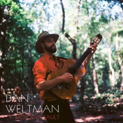 Nobody's Fault • Dan Weltman