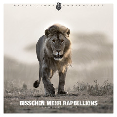 Wir haben es euch gesagt (feat. Tumani Beatz, Lapaz, Holy Smokez & Goethe)