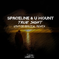 SpaceLine & U Mount - True Sight (Victor Special Radio Edit Remix)