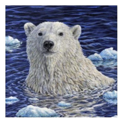POLAR VIP