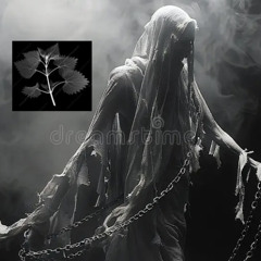 A Splendid Aura Always Ever