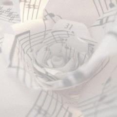 fixation w/ ritsu, iowgen, renzo