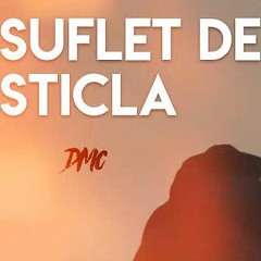 DMC - Suflet De Sticla (Lyrics Video).mp3