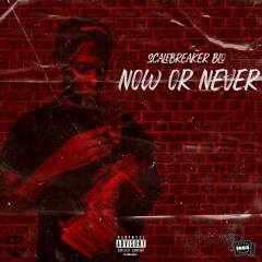 ScaleBreakerBlo - No Safety
