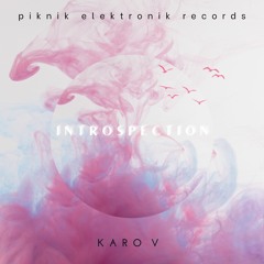 Karo V - Introspection [Piknik Elektronik Records]