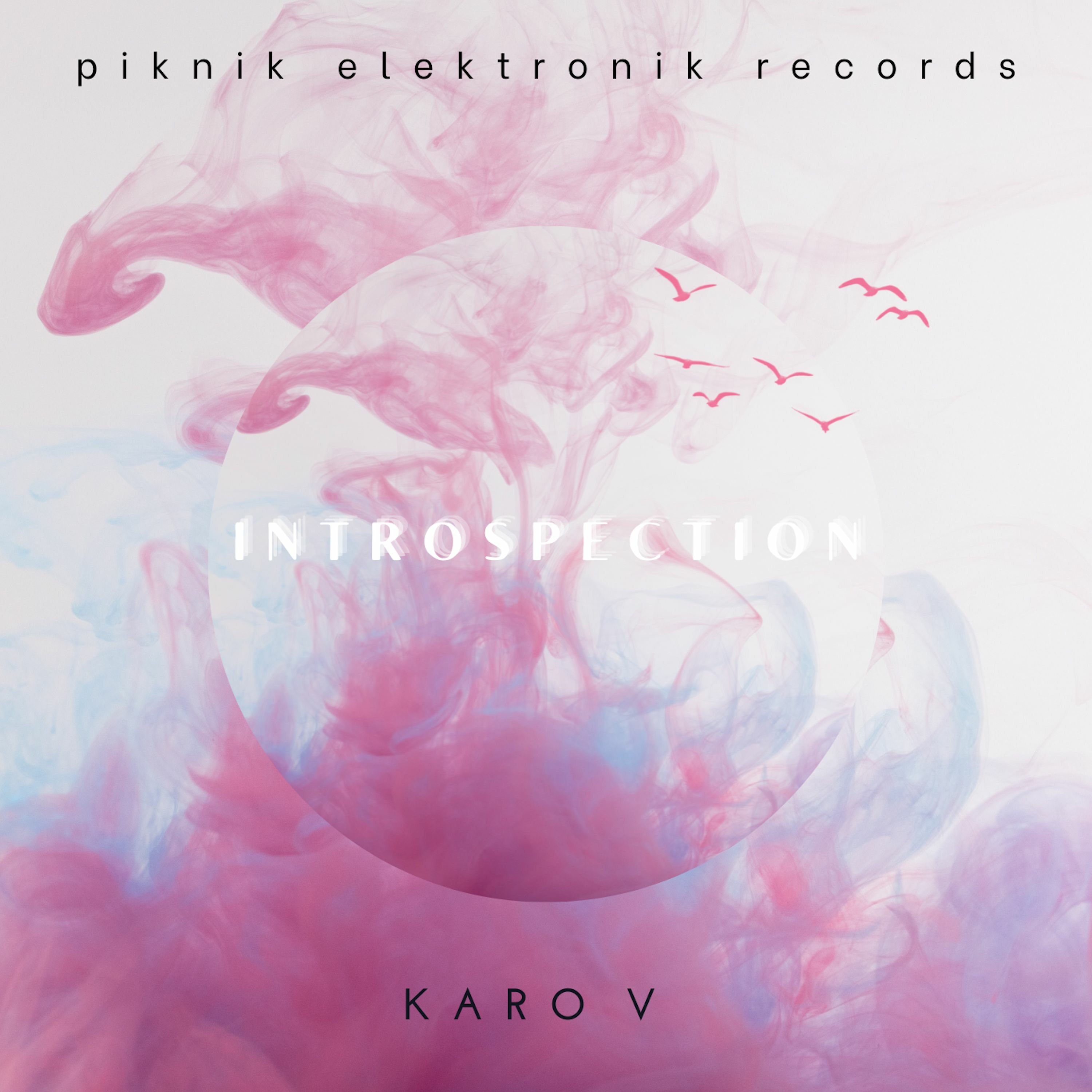 Piknik Elektronik Records