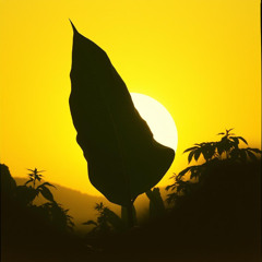 God Gave Us This Leaf