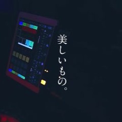 未開封] 店頭用ポップ付 Crazy Raccoon ZONe