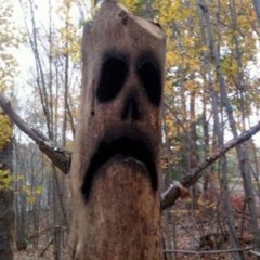 PASSENGER OF SHIT- SNORT YOUR RECTAL FUMES