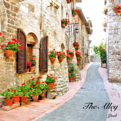 The Alley