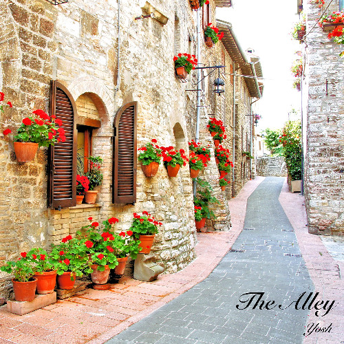 The Alley