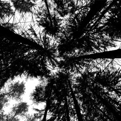 dizziness