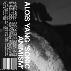 _ph013 Aloïs Yang - Sonic Animism - Post Emergence Studies 1