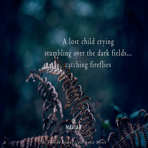 halF stumblinG [naviarhaiku373]
