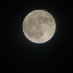 🌝🪐VAMPIRE EMPIRE🩶🫧