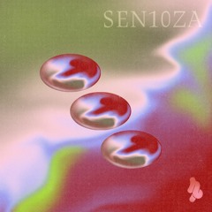 Hot Pot #2 - SEN10ZA (Guinguette 3000, Melting Pizza, FR,VN)