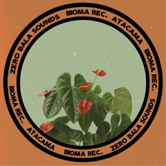 [BIO0010] _ Zero Bala Sounds - Atacama (Original Mix) FREE DOWNLOAD