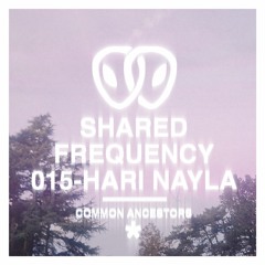 Shared Frequency 015: Hari Nayla