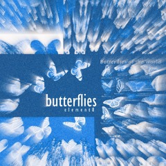 butterflies